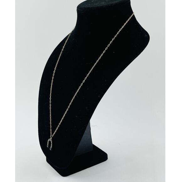 J. Crew Designer Gold Tone Horseshoe Black Pendant Necklace 27” Hoof Brass Tone - Picture 6 of 16